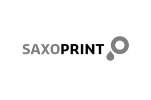 Controlling-Interim-CFO-Berlin-Unternehmensberatung- Saxoprint